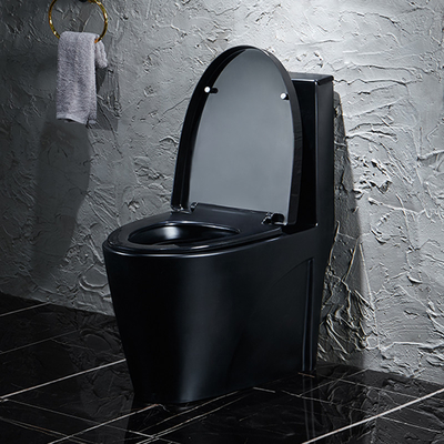 Ceramische Washdown om Sanitair Warentoilet 1 Stuk Koninklijke Stijl