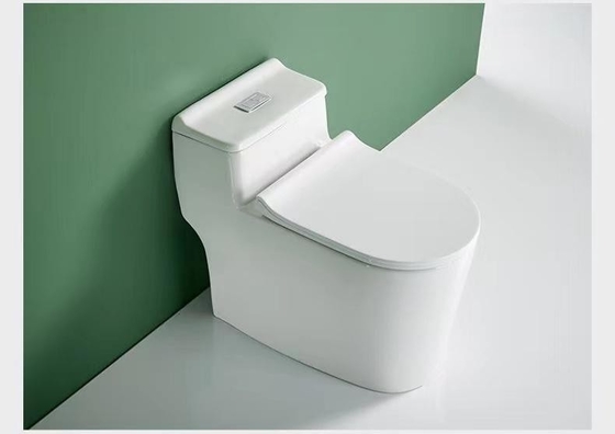 De ééndelige Dubbele Gelijke Sanitaire Vloer van het Warentoilet - opgezet 3D Ontwerp