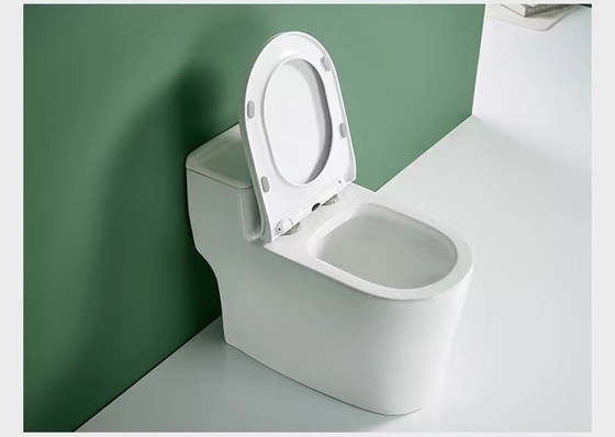 De ééndelige Dubbele Gelijke Sanitaire Vloer van het Warentoilet - opgezet 3D Ontwerp
