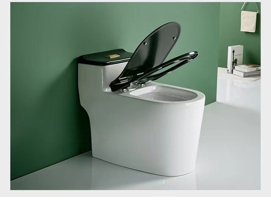 De ééndelige Dubbele Gelijke Sanitaire Vloer van het Warentoilet - opgezet 3D Ontwerp