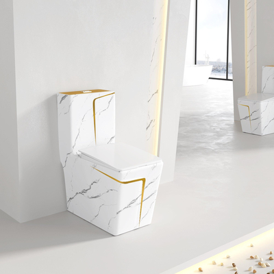 Amerikaans Standaardada floor standing toilet gold-Marmeringsvierkant