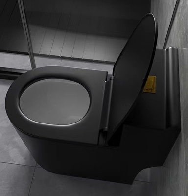 Sifon die Matte Black Toilet One Piece-Badkamers Ceramische Reeksen spoelen