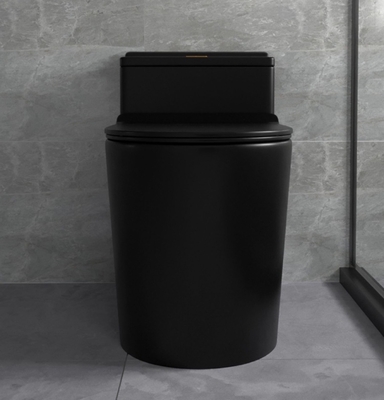 Sifon die Matte Black Toilet One Piece-Badkamers Ceramische Reeksen spoelen