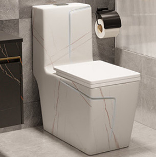 Sifon Spoelende Vloer - opgezet Zwart Wit het Hotelontwerp van de Toilets Val