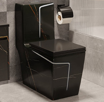 Sifon Spoelende Vloer - opgezet Zwart Wit het Hotelontwerp van de Toilets Val