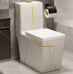 Sifon Spoelende Vloer - opgezet Zwart Wit het Hotelontwerp van de Toilets Val