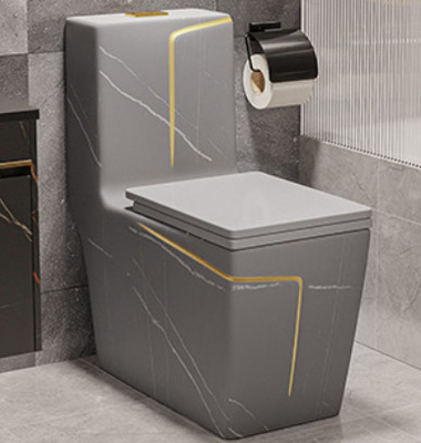 Sifon Spoelende Vloer - opgezet Zwart Wit het Hotelontwerp van de Toilets Val