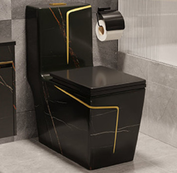 Sifon Spoelende Vloer - opgezet Zwart Wit het Hotelontwerp van de Toilets Val