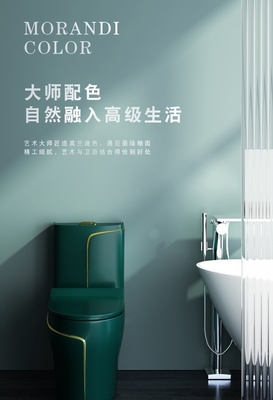 6L sanitair Warentoilet