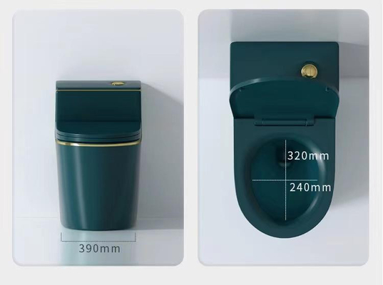 Ceramische Ééndelige Siphonic-de Besparingstank van het Toilet Kleurrijke Water