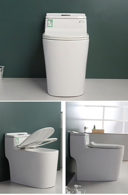 S van het de Hoogtetoilet van de Val de Ééndelige Stoel Dubbele Gelijke Mengeling Pit Spacing 220mm