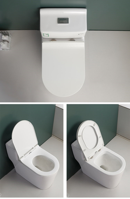 S van het de Hoogtetoilet van de Val de Ééndelige Stoel Dubbele Gelijke Mengeling Pit Spacing 220mm