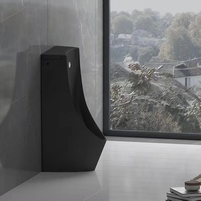 Het Urinoir Autosensor van Matte Black Back Spud Floor het Bevindende Spoelen