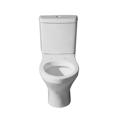 Washdown Vloer - opgezette Tweedelige Toiletten 3D Modelgraphic desgin