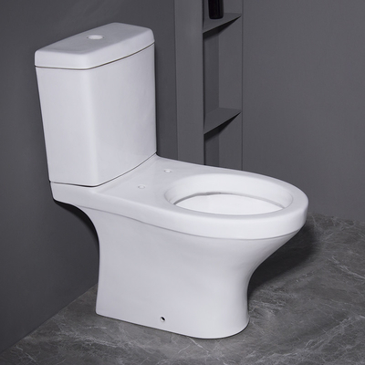 Washdown Vloer - opgezette Tweedelige Toiletten 3D Modelgraphic desgin