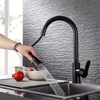 Trek Kraan van de het Hete en Koude Waterkeuken van de 304 de Sanitaire Warentapkraan terug