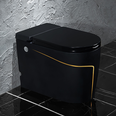 Ééndelige Zwarte Slimme Intelligente Toilet Sanitaire Waren 615*360*455mm