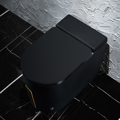 Ééndelige Zwarte Slimme Intelligente Toilet Sanitaire Waren 615*360*455mm