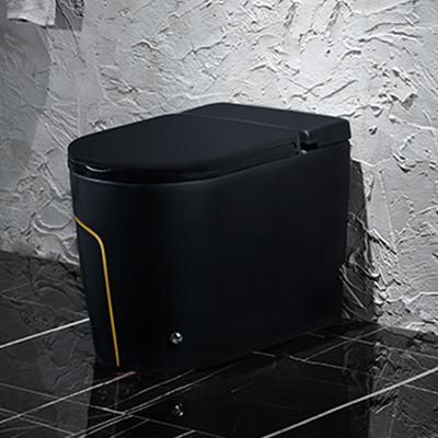 Ééndelige Zwarte Slimme Intelligente Toilet Sanitaire Waren 615*360*455mm