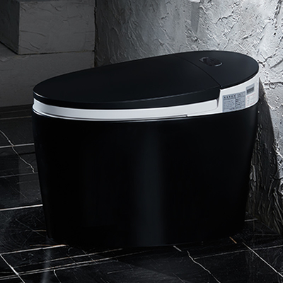 Het ceramische Slimme Intelligente Toilet Zelfreinigende Siphonic van Tankless