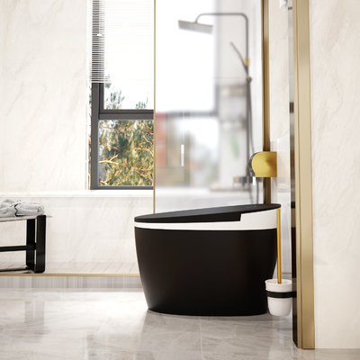 Seat die van het Toiletsiphonic van 3L 6L Slim Intelligent de Badkamersbidet verwarmen