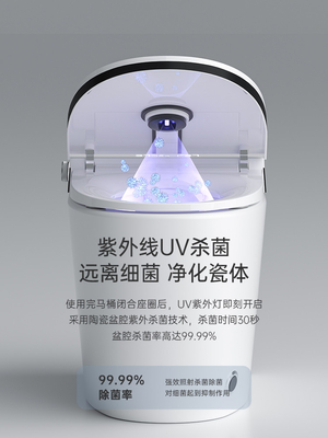 Sifon die Slimme Toilet Ééndelige Intelligente Zelfwas spoelen