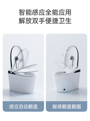 Sifon die Slimme Toilet Ééndelige Intelligente Zelfwas spoelen