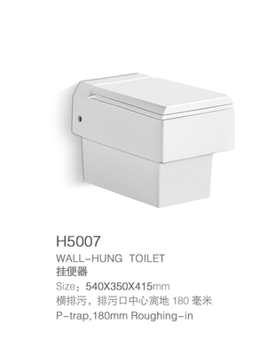 Witte p-Val Randloze Muur Hung Toilet Bowl One Piece met Bidet