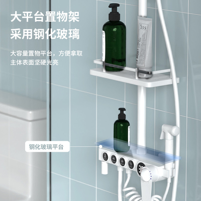 De opgepoetste Witte Douche van de Messingsmuur Opgezette Regen met Vier Functies