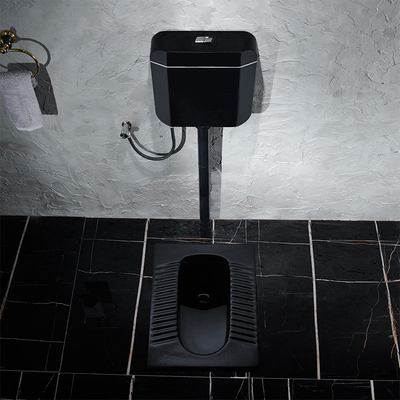 De het Satijnoppervlakte van badkamersmatt black ceramic squatting pan eindigt